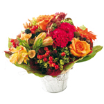 Acheter des fleurs : AMBRE