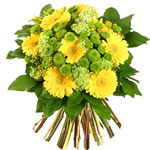 Acheter des fleurs : ANTLIA