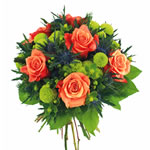 Bienvenue sur fleurs express ! : BELIER