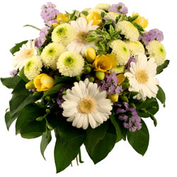 Acheter des fleurs : BERGEN