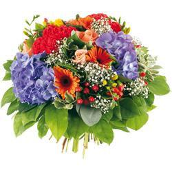 Fleurs Flowers : BISE