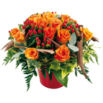 livraison de fleurs en provence alpes cote d'azur,Fleurs paca, : CORAIL