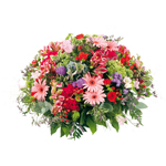 Acheter des fleurs : COUSSIN