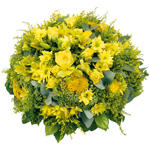 Acheter des fleurs : COUSSIN