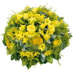 Offrer des fleurs avec l'Association de la jeunesse de Cabri�res d'Aigues : COUSSIN