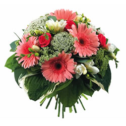 Acheter des fleurs : DELICE