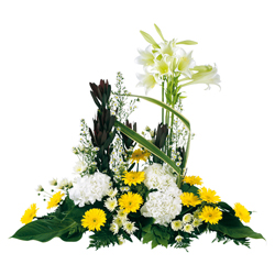 Bienvenue sur Materneo fleurs ! : DEVANT DE TOMBE MODERNE