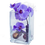 Bouquet de fleurs livr� en 4 heures : ENCHANTEMENT