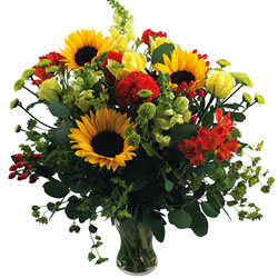 Fleurs Flowers : ENERGIE