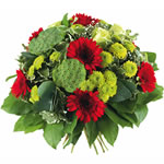 Bienvenue sur fleurs express ! : ENZO