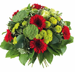 Bienvenue sur fleurs express ! : ENZO