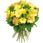 Acheter des fleurs : GEMEAUX