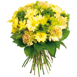 Livraison Fleurs : GEMEAUX