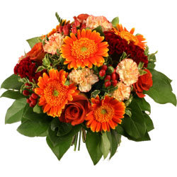 Offrer des fleurs avec l'Association de la jeunesse de Cabri�res d'Aigues : GRENADE