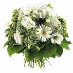 Bienvenue sur fleurs express ! : HARMONIE