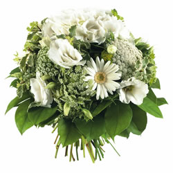 Bienvenue sur fleurs express ! : HARMONIE
