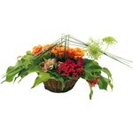 livraison de fleurs en provence alpes cote d'azur,Fleurs paca, : JADE