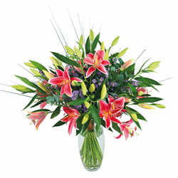 Bienvenue sur fleurs express ! : LYS STARGAZER