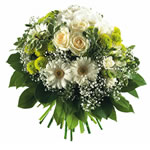 Bienvenue sur fleurs express ! : MADRID