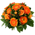 Bienvenue sur Top achat fleurs ! : MALAGA
