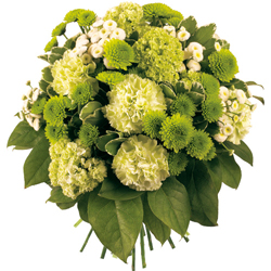Bienvenue sur fleurs express ! : MAUKA