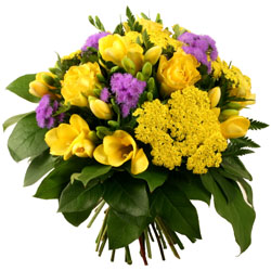 livraison de fleurs en provence alpes cote d'azur,Fleurs paca, : MIAMI