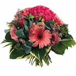 Bienvenue sur fleurs express ! : MIRTA