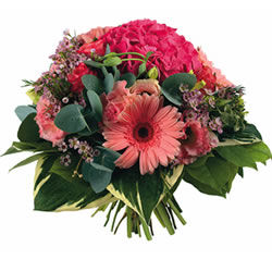 Bienvenue sur fleurs express ! : MIRTA