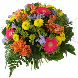 Acheter des fleurs : MISTRAL GAGNANT