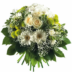 Bienvenue sur fleurs express ! : MYSTIQUE