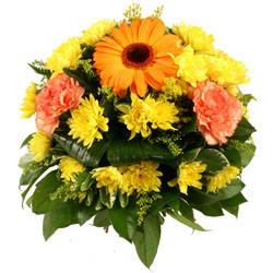 Acheter des fleurs : NELSON