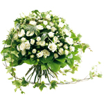 Bienvenue sur Materneo fleurs ! : NOBLESSE