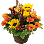 livraison de fleurs en provence alpes cote d'azur,Fleurs paca, : OPALE