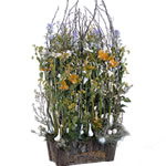 Boutique Fleurs du Salon du Mariage : OREE DU BOIS