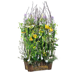 EntreNous74 dites le avec des fleurs le portail des pays de Savoie : OREE DU BOIS