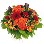 Bienvenue sur Top achat fleurs ! : OURAGAN