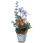 Acheter des fleurs : PYRAMIDE