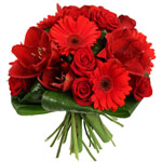 Bienvenue sur Top achat fleurs ! : ROMA
