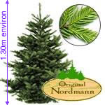 Fleurs : SAPIN NORDMANN 1m30