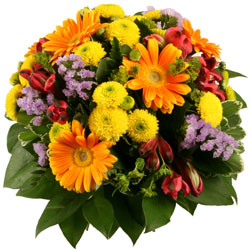 Bienvenue sur Top achat fleurs ! : SOFIA