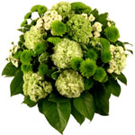 Acheter des fleurs : VANCOUVER