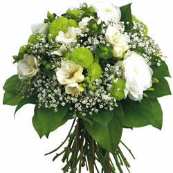 Bienvenue sur fleurs express ! : VIERGE