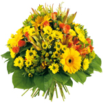 Bienvenue sur Top achat fleurs ! : ZEPHIR
